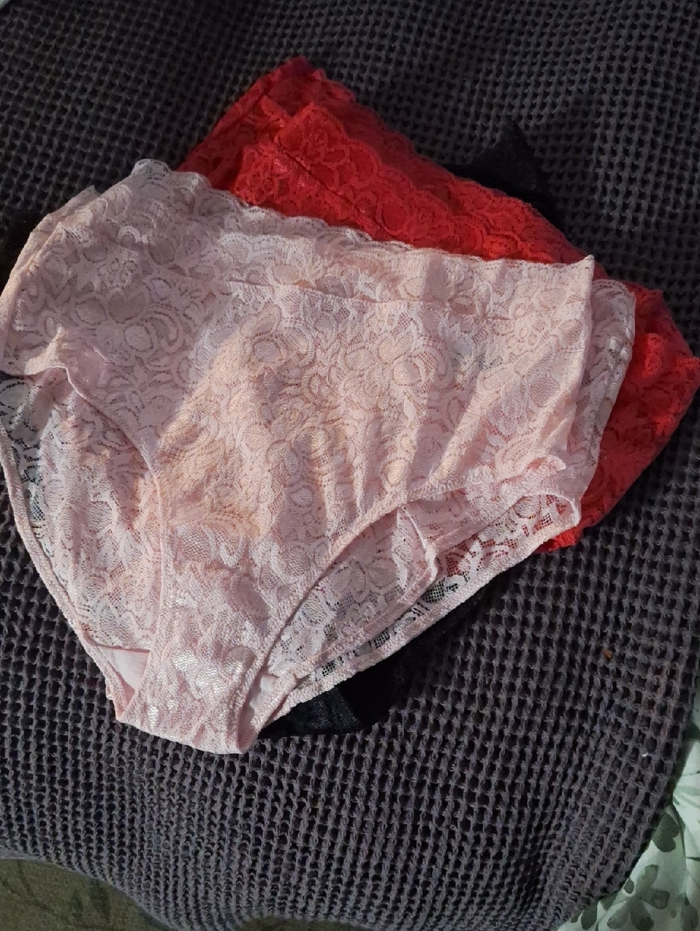 Quince (Very) High Waisted Lace Brief (6-pack) Ruby/Black/Pink NEW